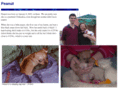 ittybittydog.com