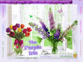 thepurpleiris.us