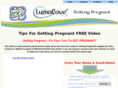 howtogetpregnanthowtogetpregnant.com