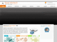 essarinfotech.net