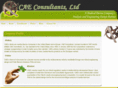 caeconsultantsltd.com