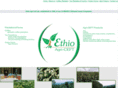 ethioagriceft.com