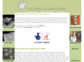 thebddfoundation.com