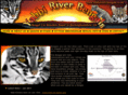 yabbiriver-bengals.co.uk