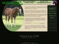 millicanhorses.com