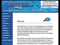nvblue.com