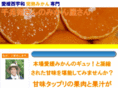 mikann-egao.com