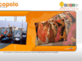 marcopoloholidays.ir