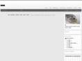 illusionformysake.com