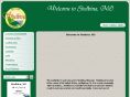 cityofshelbina.com