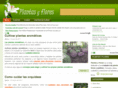 plantasyflores.org