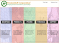 dbprecision.com