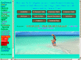 gulfshoresrental.com