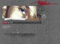 framestec.com