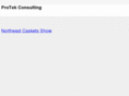 protekconsulting.net