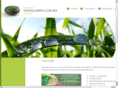 verdecampo.info