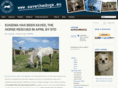 savethedogs.eu