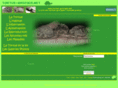tortue-grecque.net