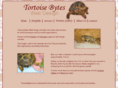 tortoisebytes.com