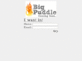 bigpuddle.co.uk