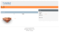 tunebiz.net