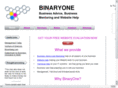binary1.org