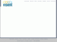 visient.com