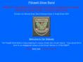pillowellsilverband.com