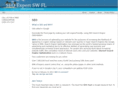 seoexpertswfl.com