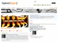 sapientdigital.com