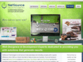 netsourceinc.com