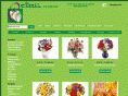cittisflorist.com