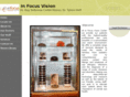 in-focusvision.com