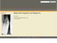 bginspection.com
