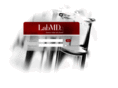 labmd.net