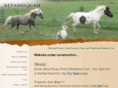 nepashequah.com