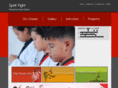 spiritfight.com