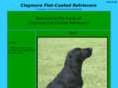 claymore-flats.com