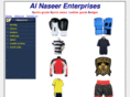 alnaseerent.com