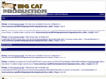 bigcatproduction.com