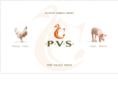 pvs-pvs.com
