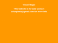 visualmagic.net