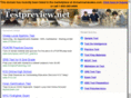testpreview.net