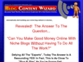 blogcontentwizard.net