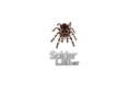 spider-lab.net