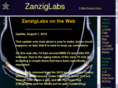 zanziglabs.com
