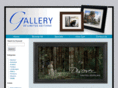 galleryoflimitededitions.com