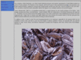 unitedseafoods.com