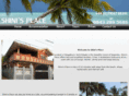 shinisplace.com
