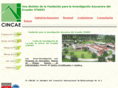 cincae.org